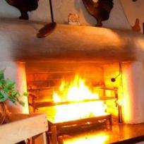 Designhotel steinernes Schweinchen